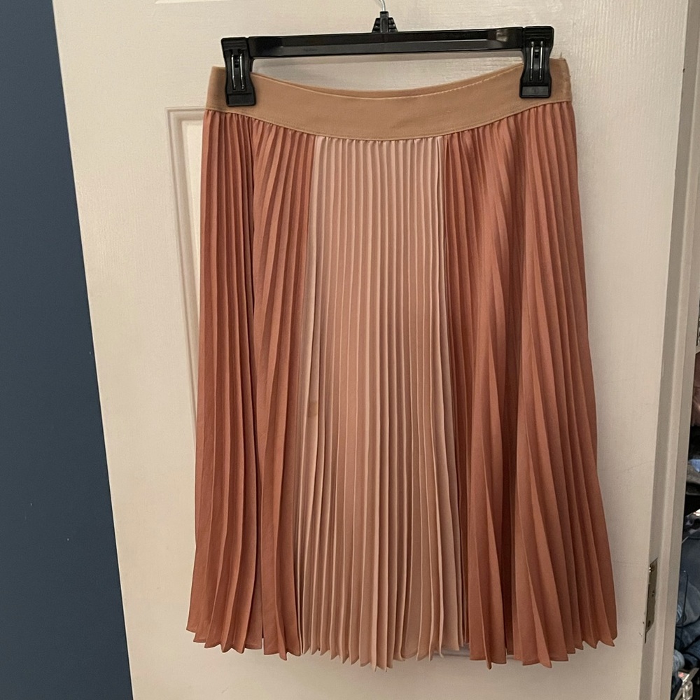 Pleated Skirt